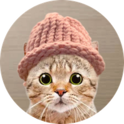 Cat wif Hands