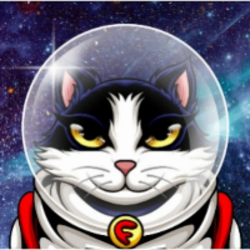 Felicette the Space 