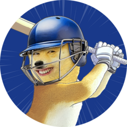 Indian Premier Leagu