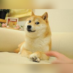 Kabosu ERC20