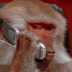 Monke Phone