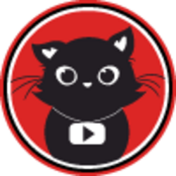 The First Youtube Ca