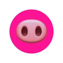 Piggy Finance
