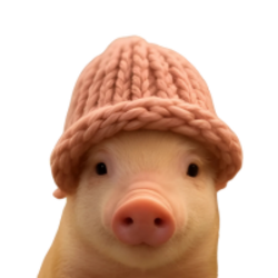 pig wif hat