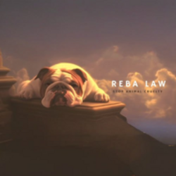 US Ambassador Animal