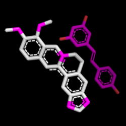 Resveratrol & Berber