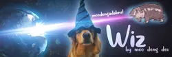Wizard