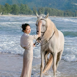 马到成功 (Succes